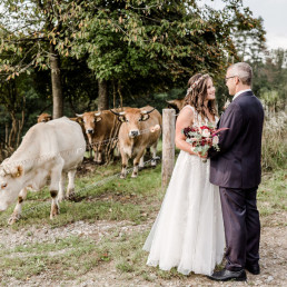 Braut und Bräutigam stehen neben Weide mit Kühen