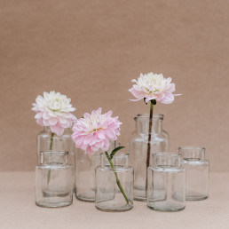 Klare Gläser in verschiedenen Höhen bei Floristin Franzi von Ganz Unverblümt leihen