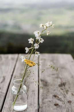 Vase mit bunten und natürlichen Wiesenblumen vor Aussicht